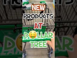 GUARANTEED TO SELL OUT FAST💨 NEW ITEM DROP‼️ #dollartree #makeup #shop ￼04/29