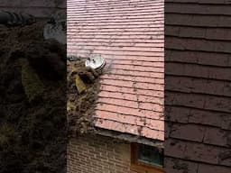 Incredible Pile of Moss Removed From This Roof! #cleaning #satisfying #roofcleaning