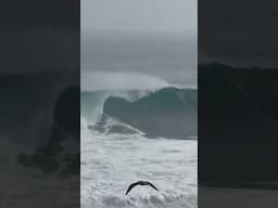 Today was MASSIVE in Chile. 🎥 Manuel González