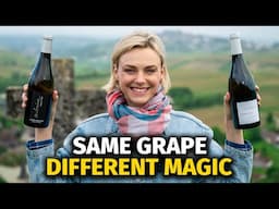 Sancerre vs Pouilly-Fumé (Loire’s Greatest Sauvignon Blanc Showdown)