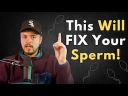 How To Increase Your Sperm Count In 90 Days #376