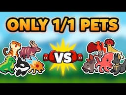 Super Auto Pets but we can only use 1/1 PETS
