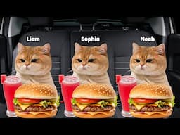 Cat Memes Family Vacation ROAD TRIP to Lake Tahoe
