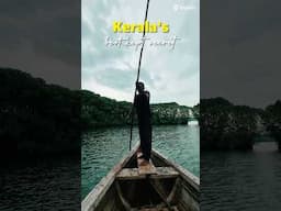 The Secret Side of Kerala You Must See! #shorts