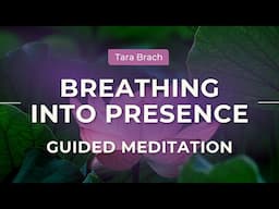 Guided Meditation: Breathing Into Presence, with Tara Brach