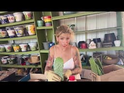 Desert Roses and  Propagating Prickly Pears