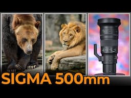 Sigma 500mm F5.6 DG DN OS - Review and Test