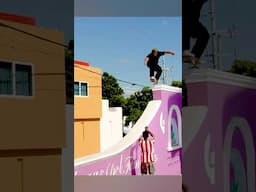 Have you seen Erick Winkowski’s MACRODOSE 🍄 part yet?!
