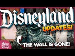 Disneyland Construction Updates & Ride Closures JUNE 2025