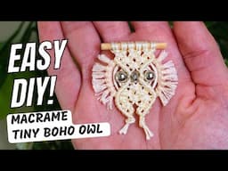 DIY Tiny Macrame Owl 🦉 Beginner-Friendly & Super Cute!