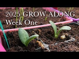 Grow Along Week One - Seed Starting - 2025 - Veggies and Flowers