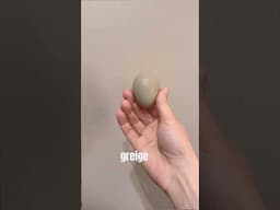 This Chicken Lays “Perfect Greige” Eggs! 🤣