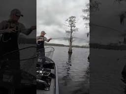 YEAH!! Flipped around the new Crud Craw for my day 1 tournament on Caddo!