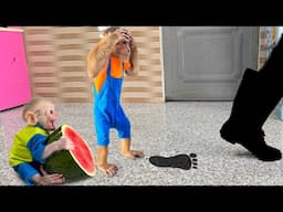 Baby Monkey Calls for Help When Stranger Breaks Into House ! What should Detective CUTIS do ?😱