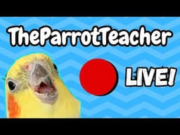 Bird Bathing, Parrot Diet & Training Solutions - TheParrotTeacher Live