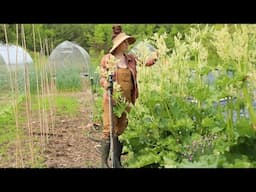 Early June No‑Dig Garden Tour: Greenhouse & Outdoor Beds
