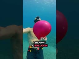 Diver risks decompression sickness for science