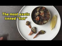 Gooseneck BARNACLES:  What, Why, How | Canned Fish Files Ep. 156