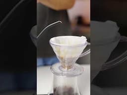 🥊Hario Alpha is the new best pourover kettle!