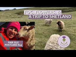 Fair Isle Postcard #44 Fog, Flowers & an Event on Shetland                  #fairisleknitting #croft