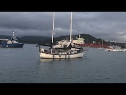 Cruising the world in our 40 year old Hans Christian Sail Boat, Nutshell and land-based adventures.