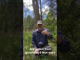 Bushcraft Survival Skill:  Estimating Tree Height