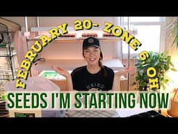 Veg, Herb & Flower Seeds to Sow in February- Zone 6