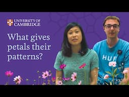 What gives petals their patterns?