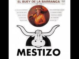 Exito de 1984 Hector Rafael Mestizo "Buey de la Barranca"