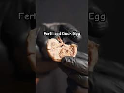 Fertilized Duck Egg… Round 2