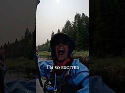 Top of my wildlife bucket list 🫎 And then it happened, paddle boarding Algonquin Park’s backcountry