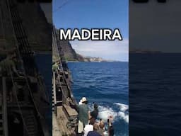 Madeira '24 | Jumping in the deepest Atlantic Ocean #viralvideo #youtubeshorts #madeira