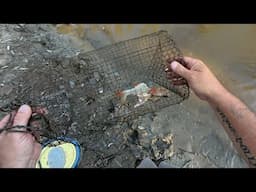 Yabby Fails, Fishing Fails And More; March 2025 Monthly Mashup