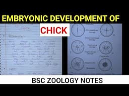 EMBRYONIC DEVELOPMENT OF CHICK NOTES @ZOOLOGYNOTES#bsczoologynotes #vbu #skmu #bhu #mjpru #zoology