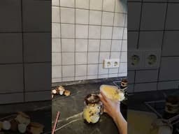 💕 Für einen gemütlichen oder romantischen Abend: Schoko-Vanille-Milkshake! 🍫🥤