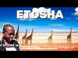 First Time In Etosha National Park, Namibia | Did NOT Expect This! Season 2 Episode 36