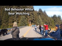 People Behaving Badly Around a Grizzly Bear