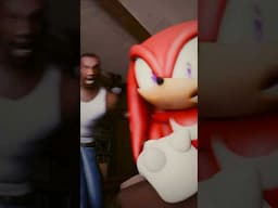 Knuckles Tries A New Filter 🫣