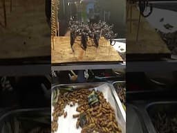 fried Snake, scorpion Exotic food in Thailand #short #shorts #viralvideo #viralshorts #viralvideo
