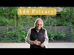 Add Privacy With This DIY Cattle Panel Trellis Fence (with 3 Different Climbing Vines!)