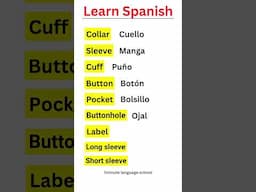 Shirt vocabulary in Spanish| Learn useful daily use Spanish words!