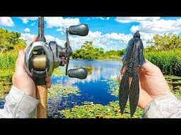 Hunting Down MONSTER Summer Bass With BIG Lures - Crazy Bite