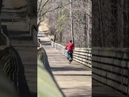 High Point Greenway | High Point, NC  #joyfultrails