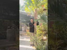 #phatphapnhiemmau #nammoadidaphat