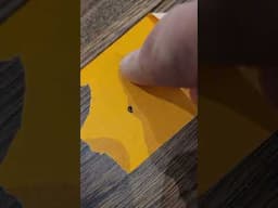 NAILS BE GONE! This trick will save you from making a mess on filling holes.  #nailfill #quickfix