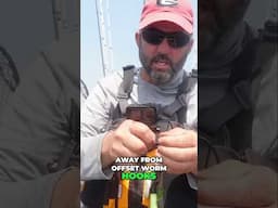 Unlock Bass Fishing Secrets: Straight Shank Hooks & Lure Mastery!