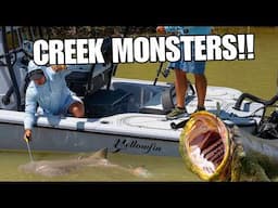 Goliath Grouper vs. 100lb Lemon Sharks — Combat Fishing in the Everglades