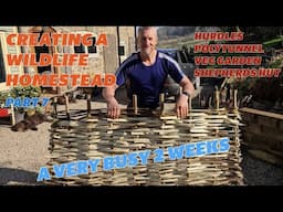 CREATING A WILDLIFE HOMESTEAD - POLYTUNNEL BUILD - SHEPHERDS HUT - TREE PLANTING