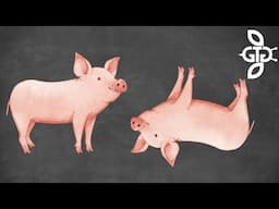 How To Play Pass The Pigs