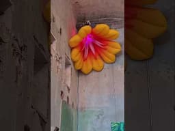Esto es #salonacme en el #artweek de #cdmx #arteconceptual #art #shorts #shortvideo